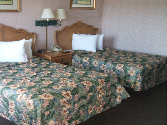 Motel 6 Burlington Oda fotoğraf